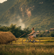 15 days - Premium Vietnam Trail